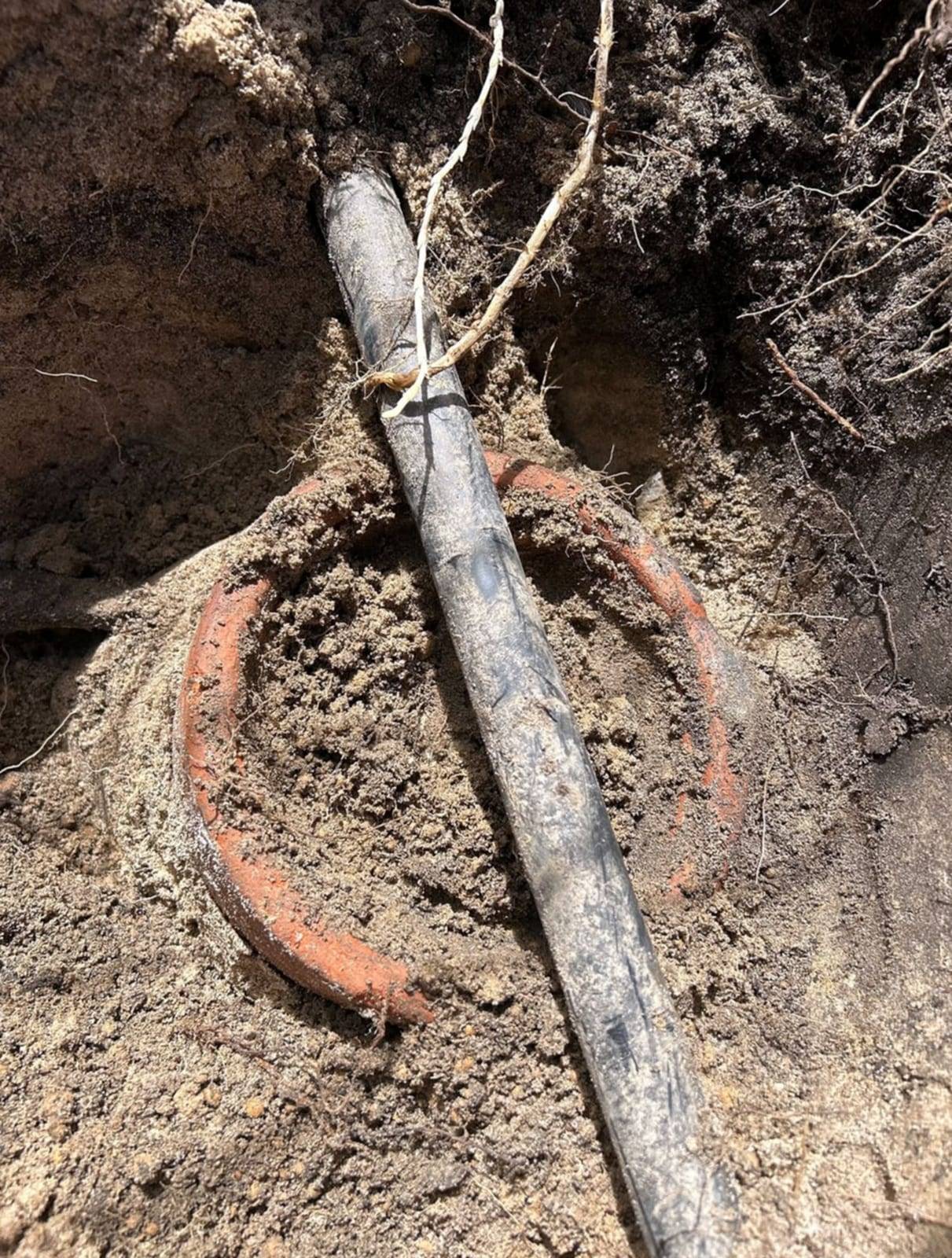 Excavated soil around an old orange clay pipe joint, with a black plastic water line crossing it and tree roots running through the dirt
